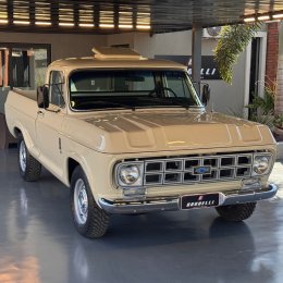 Chevrolet D-10